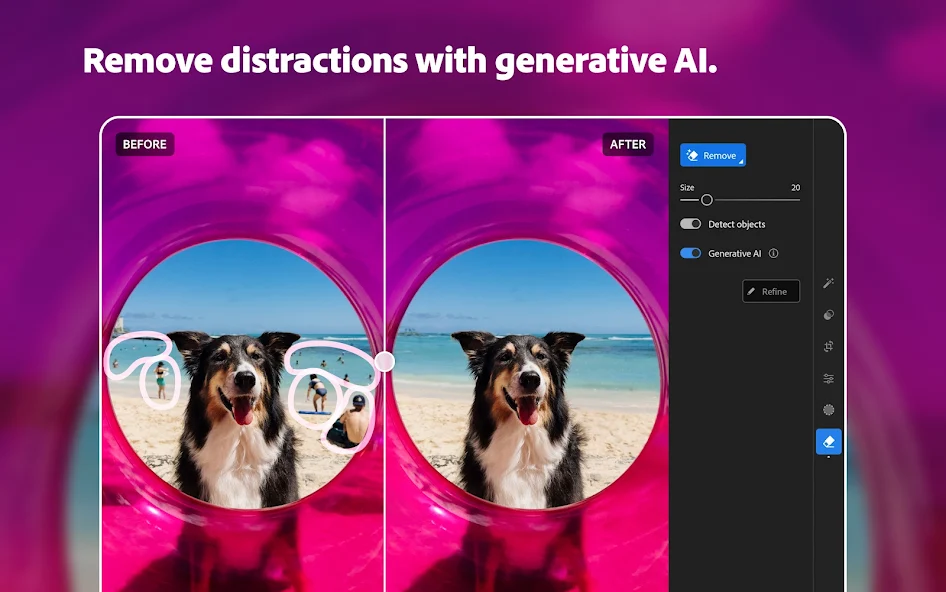Lightroom MOD APK Appic Store