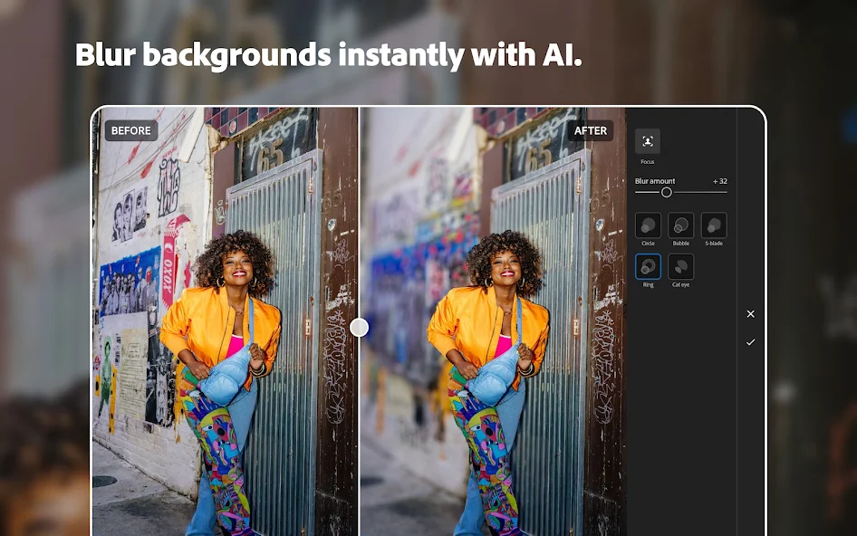 Lightroom MOD APK Appic Store